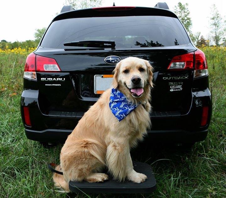 SPECIAL SUV Twistep Pet Step with Hitch Lock Included