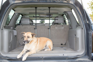 Pet Partition Vehicle Pet Barrier