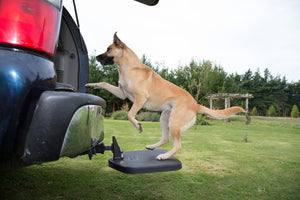 SPECIAL SUV Twistep Pet Step with Hitch Lock Included
