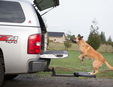 Load image into Gallery viewer, Twistep Pet Step for Pickup Trucks