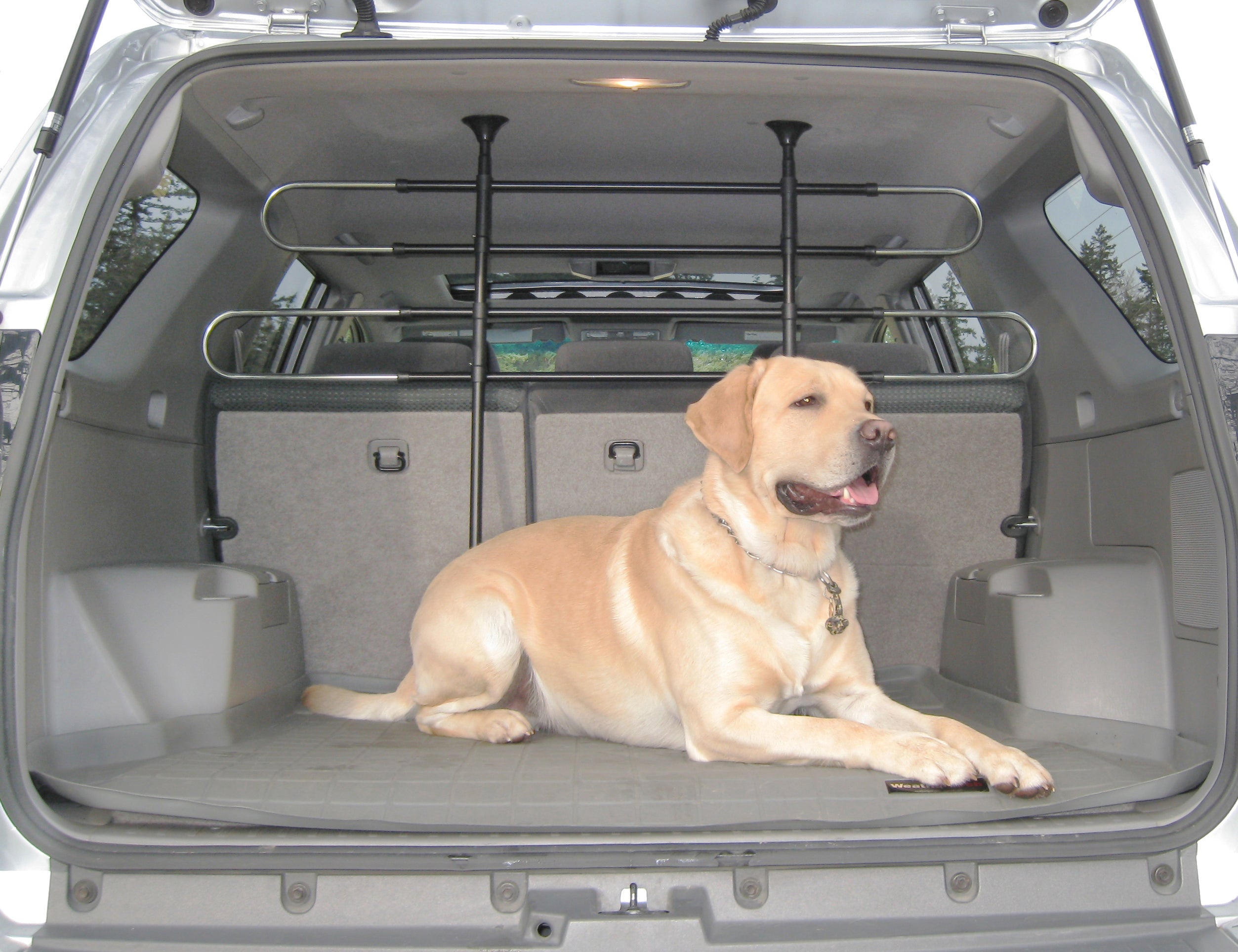 Pet car deals divider