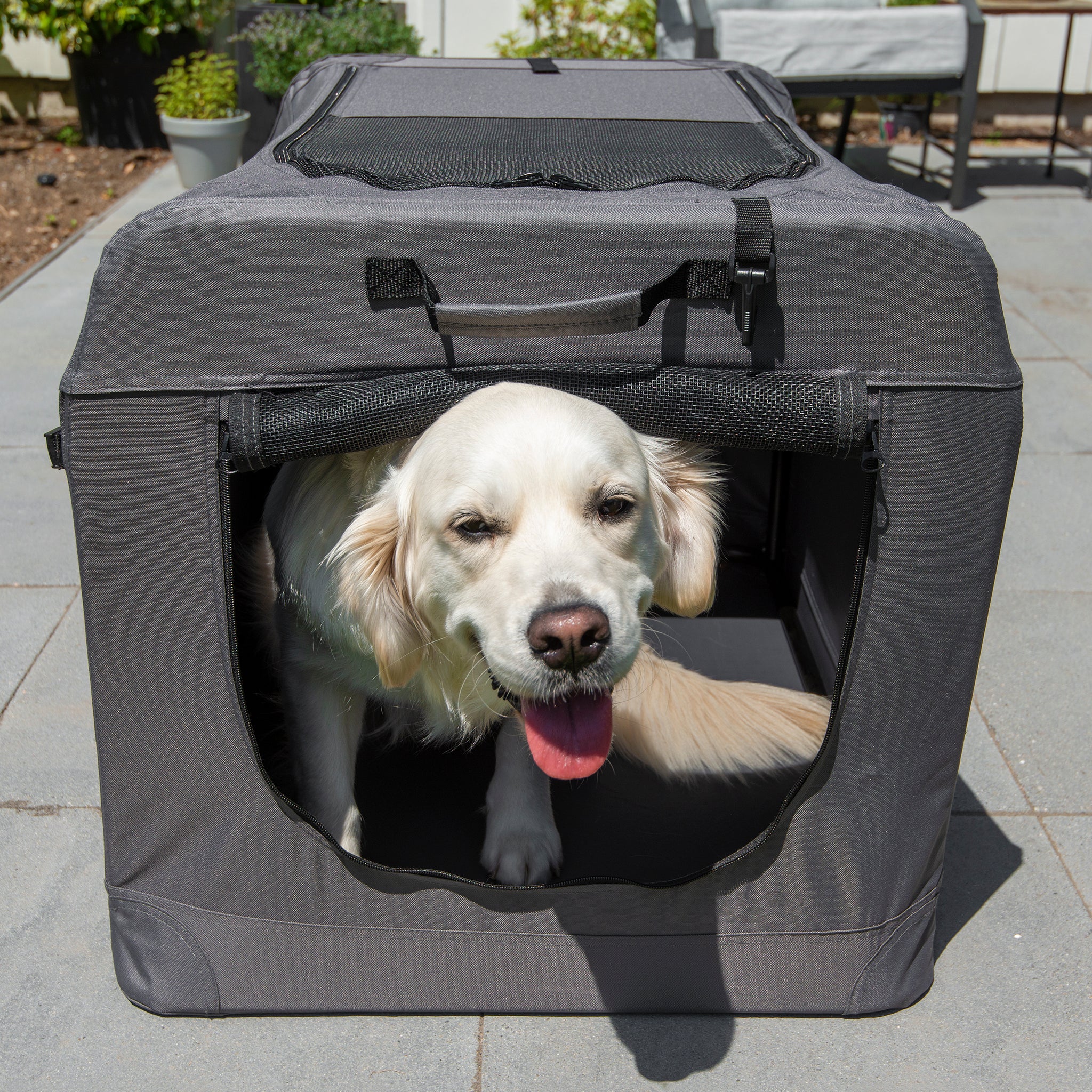 Photo inspiration: Soft Sided Portable Dog Crate Photo Inspiration